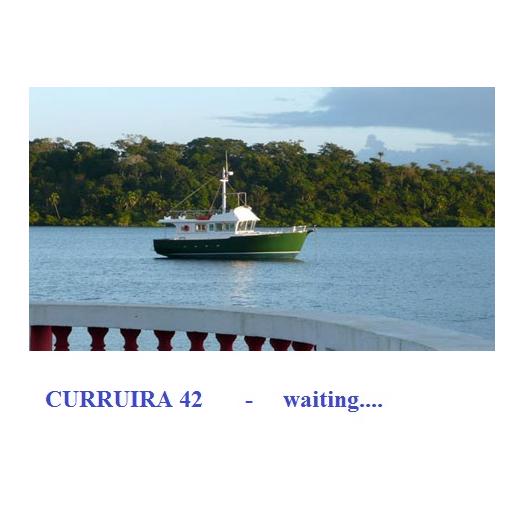 curruira4202